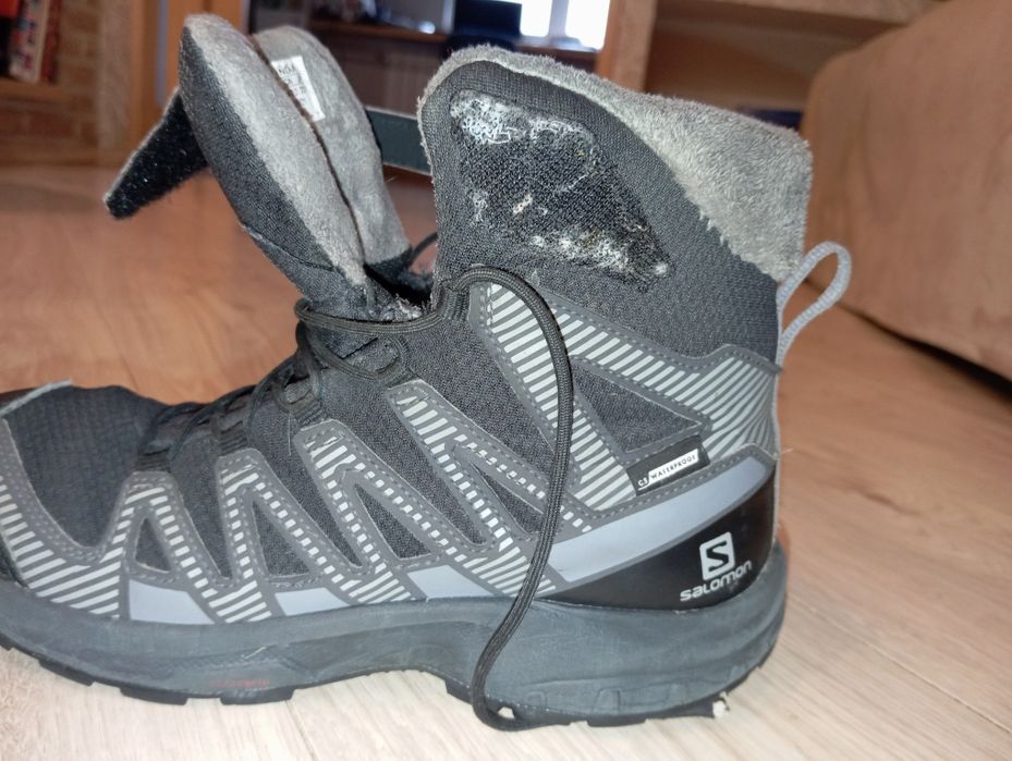 Саламони salamon