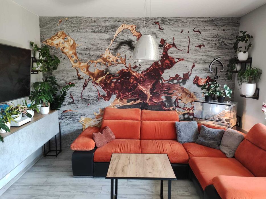Mieszkanie M4-55 m², na parterze w Żorach, BEZ POŚREDNIKÓW - Widok 3