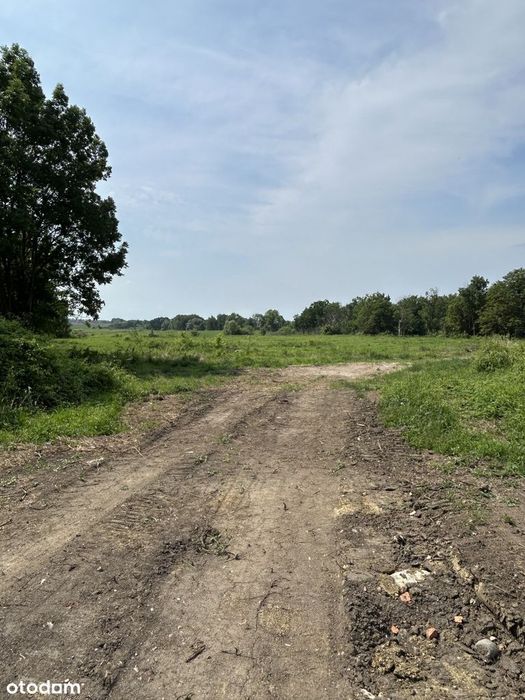 Działka usługowa Przecław Gmina Kołbaskowo - Widok 2