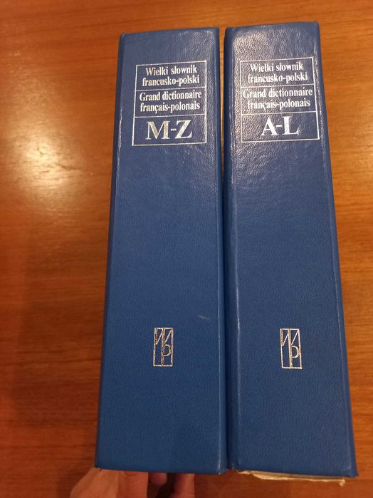 Wielki słownik francusko-polski