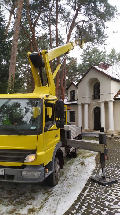 Karczowanie działek Legionowo | Wycinka drzew | Frezowanie pni