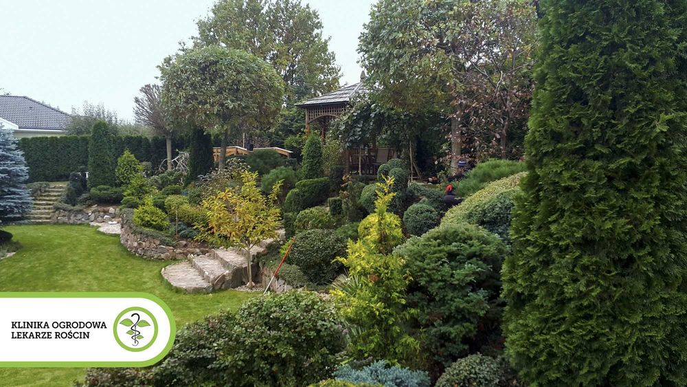 Wiosenne porządki w ogrodzie Koszenie Wertykulacja Przycinanie