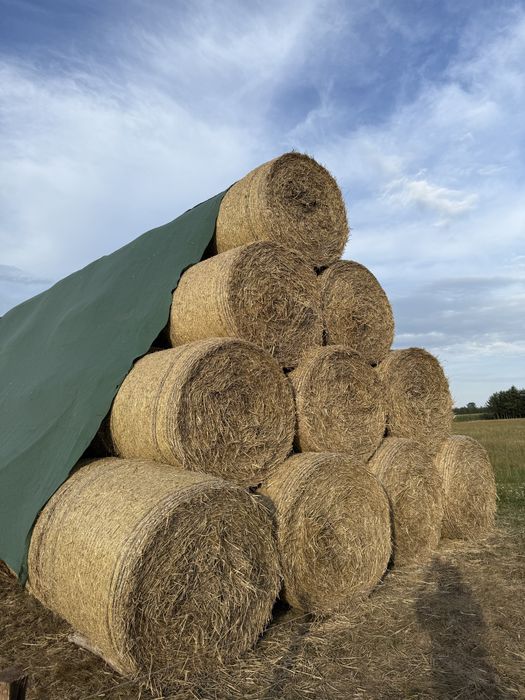 Sprzedam słomę pszenną