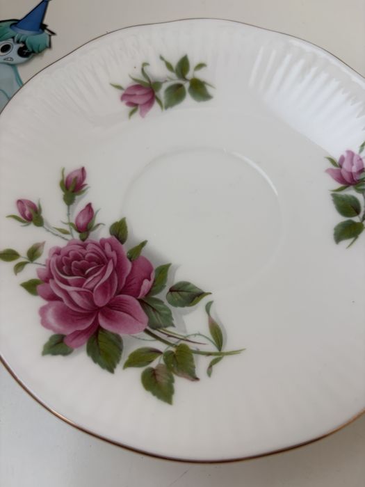 Xícara de chá e pires elisabetanos decorados à mão