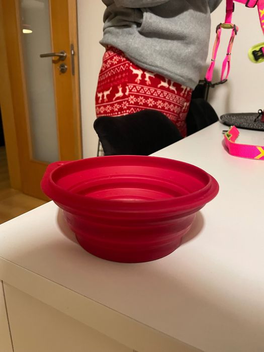 Conjunto de brinquedos Kong Puppy + Peitoral Nayeco + Trela Nayeco