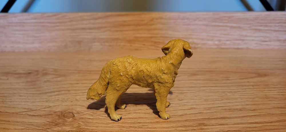 Procon collecta pies Golden retriver figurka model wycofany