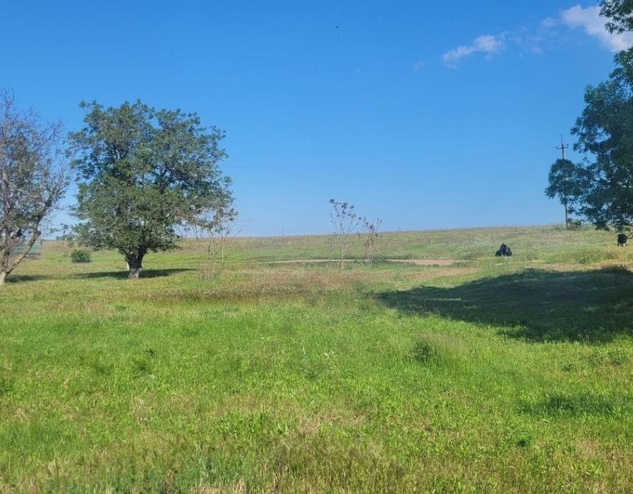 1 гектар в селе Красносёлка с отличным расположением