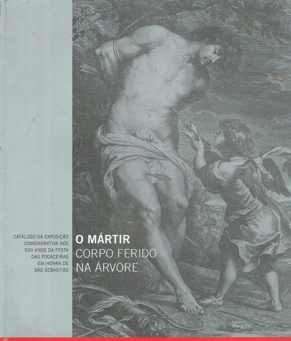 1695

O mártir : corpo ferido na árvore : catálogo da exposiçã