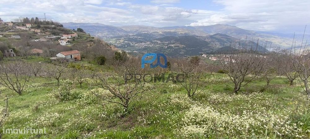 Terreno Urbanizável de 7959 m² com Armazém