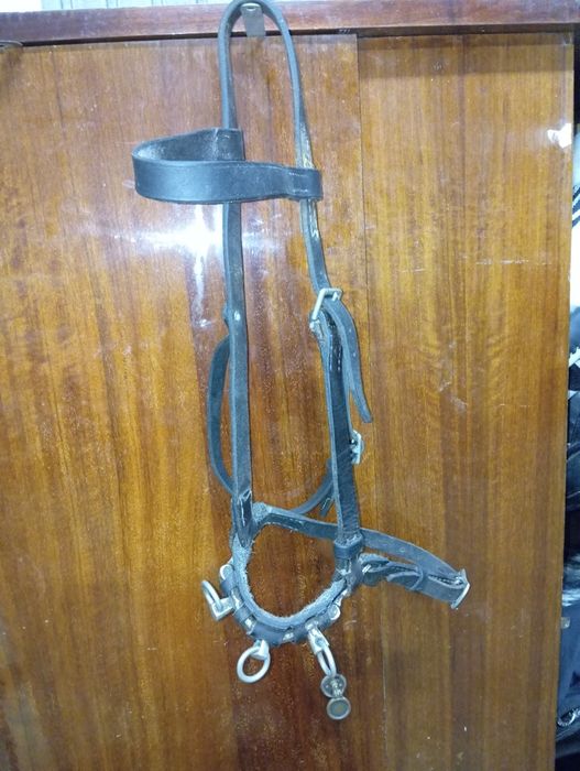 Vendo Serrilhão (equitação)