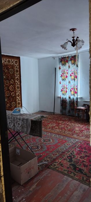 Продам дом в с. Баловка Днепр область