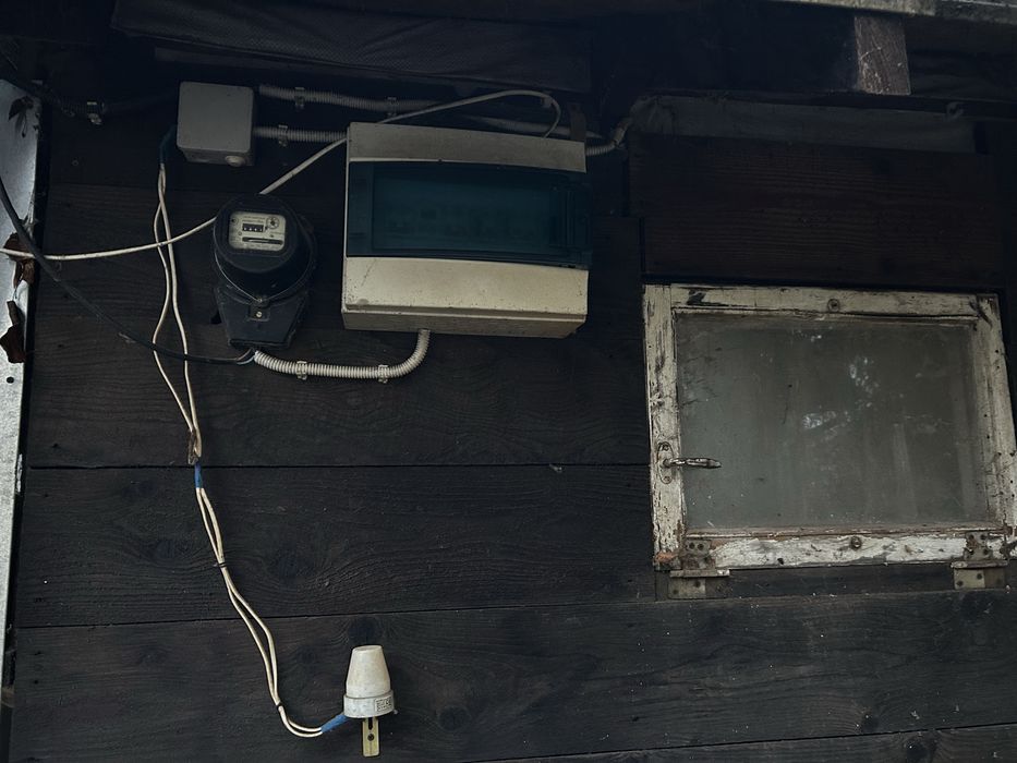 Курятник в зборі