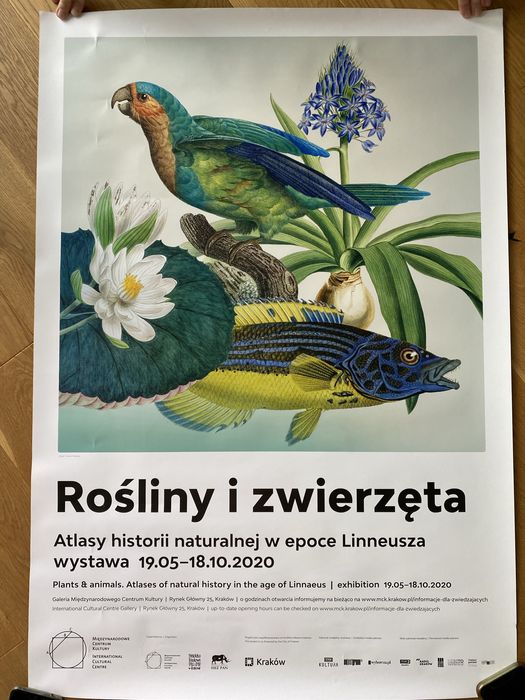 Plakat rośliny i zwierzęta w epoce Linneusza