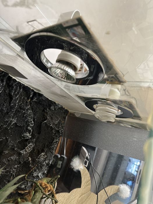 Тераріум для рептилії