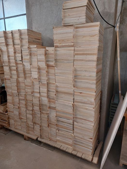 Quadros de colmeia M/ lusitano de ninho  e meia alça