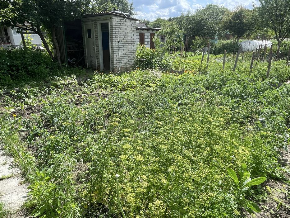 Продам дачу Чисті пруди біля річки