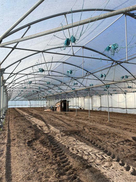 Estufa agrícola 16x60m