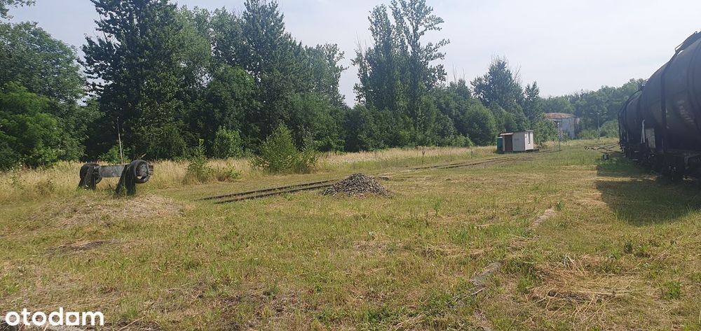 Działka, Zabrze