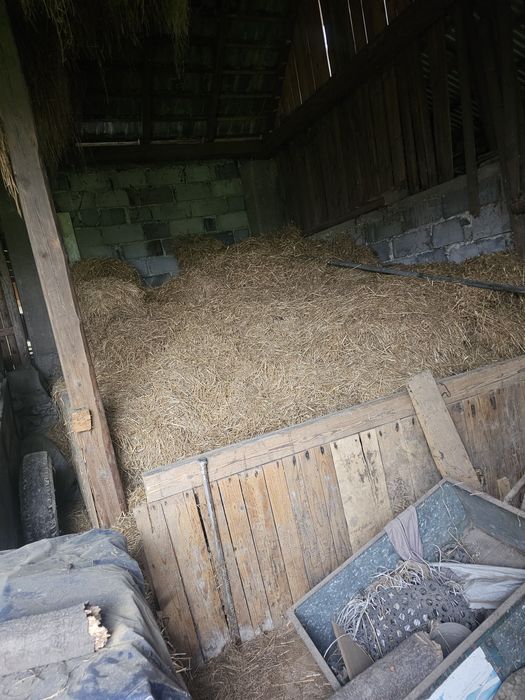 Słoma Oddam Grojec kolo Osieka