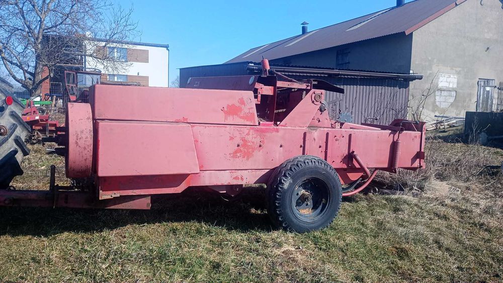 Sprzedam Prase Sipme Z224