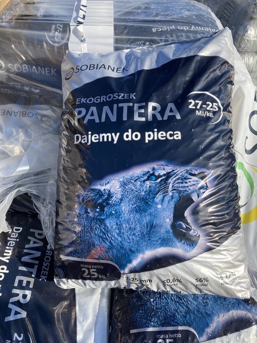 Groszek Plus  Sobianek PANTERA‼️‼️‼️