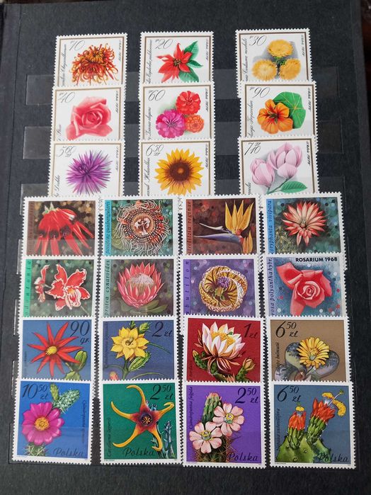 klaser ze znaczkami czyste