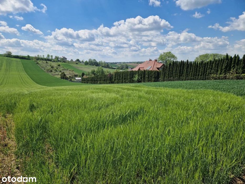 Działka 1348 m² | MPZP | Masłomiąca, gm. Michałowice