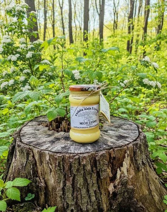 MIÓD LEŚNY wiosenny (malina, kruszyna, jeżyna, jagoda) 400g z Rospudy