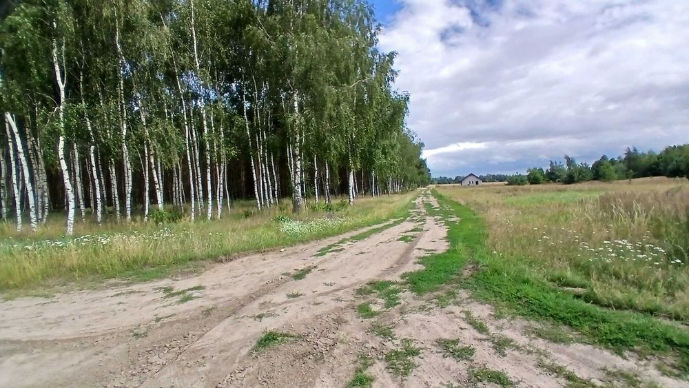 Działka rekreacyjna leśna 3100m²-3200m2 Gniezno/Pustachowo /Żydowo