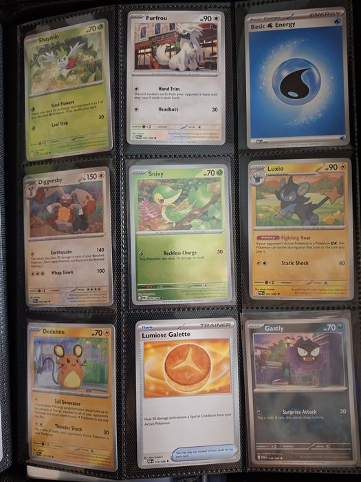 Cartas pokemon perfect order