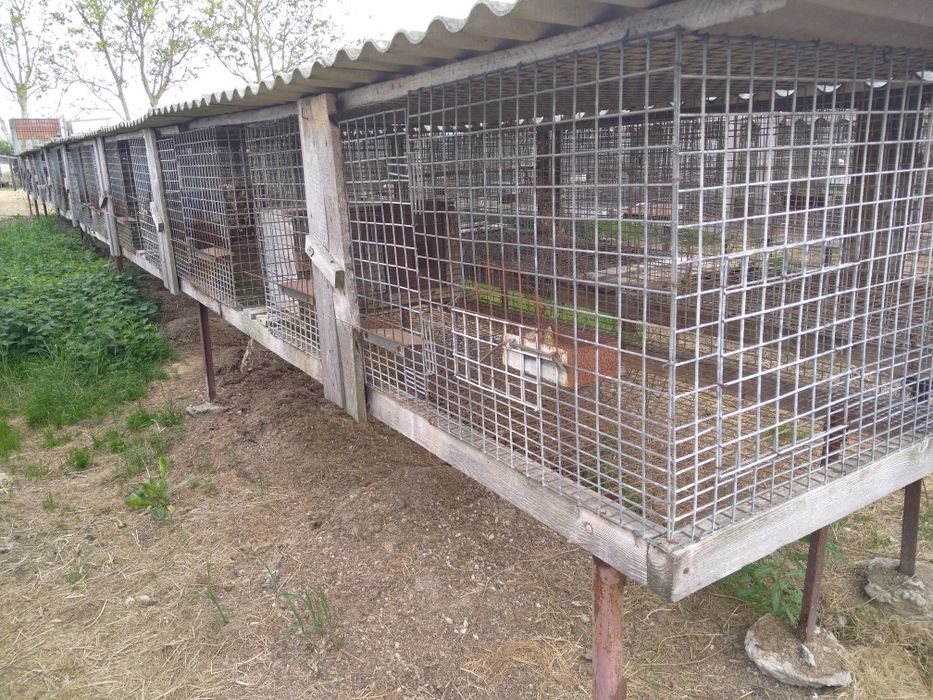 Klatki dla zwierząt, siatki ,kojce,siatki zbrojeniowe