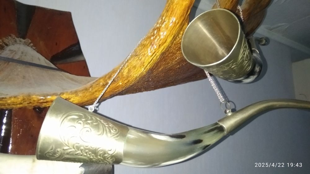 Чаша изобилия из рога