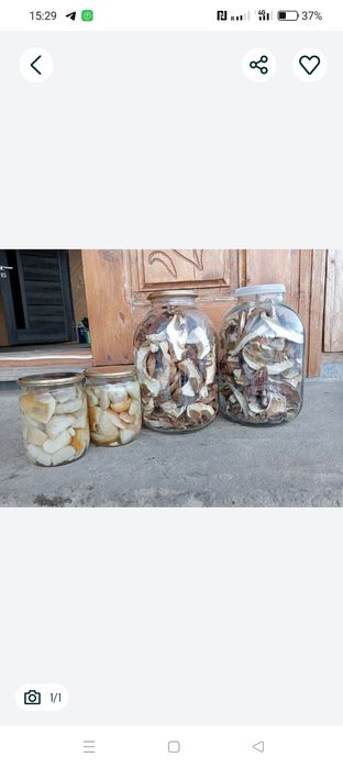 Продам гриби мариновані і сушені