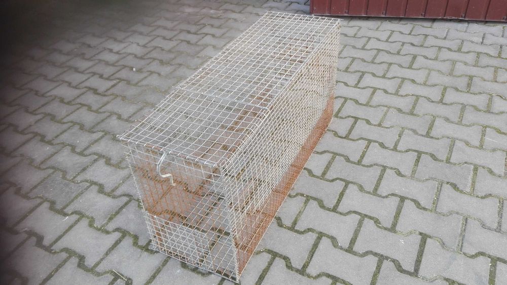 Klatka dla królików, przepiórek, gołębi,  innych ptaków, zwierząt