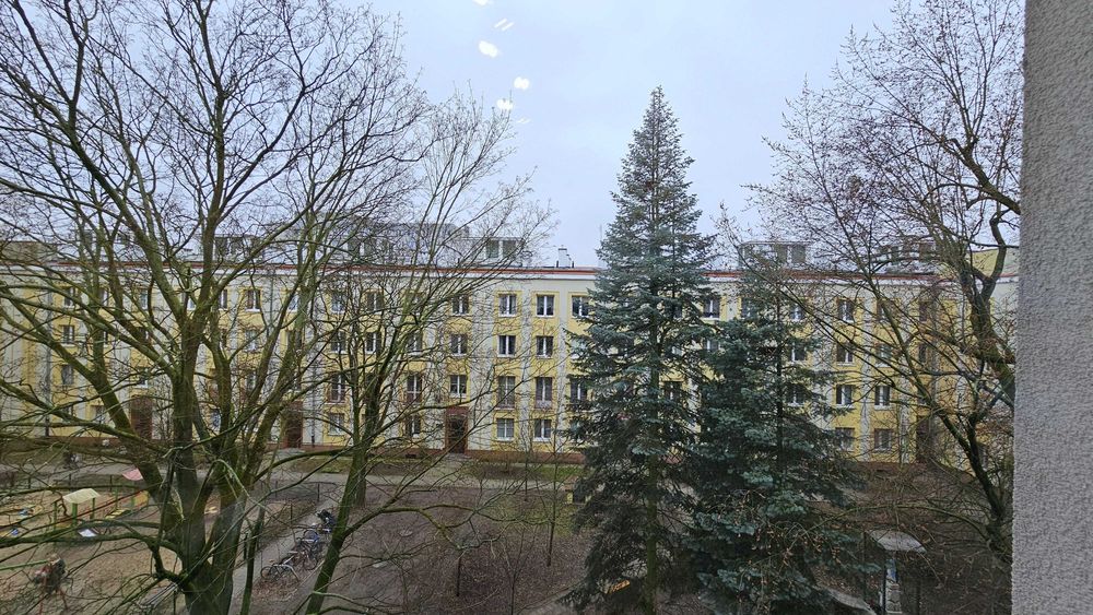 Zdjęcie 7