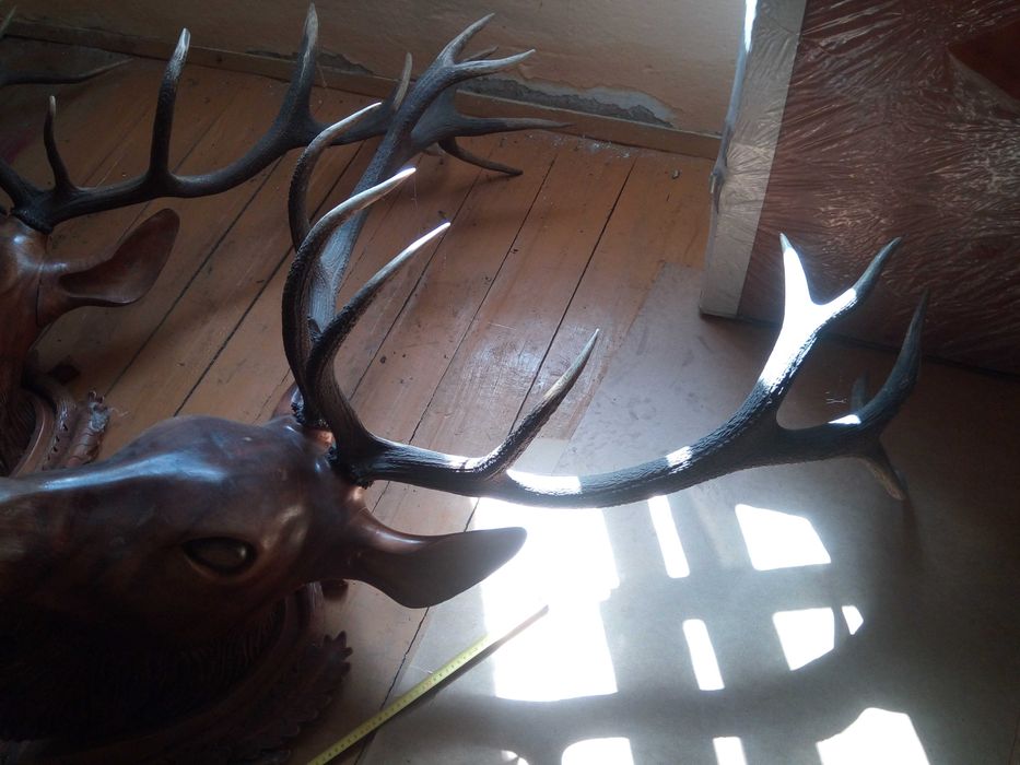 Rogi jelenia a głowa rzeźbiona z drzewa lipowego