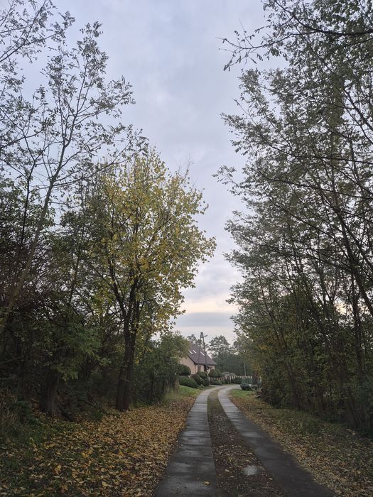 Sprzedam działkę budowlana wraz z projektem domu