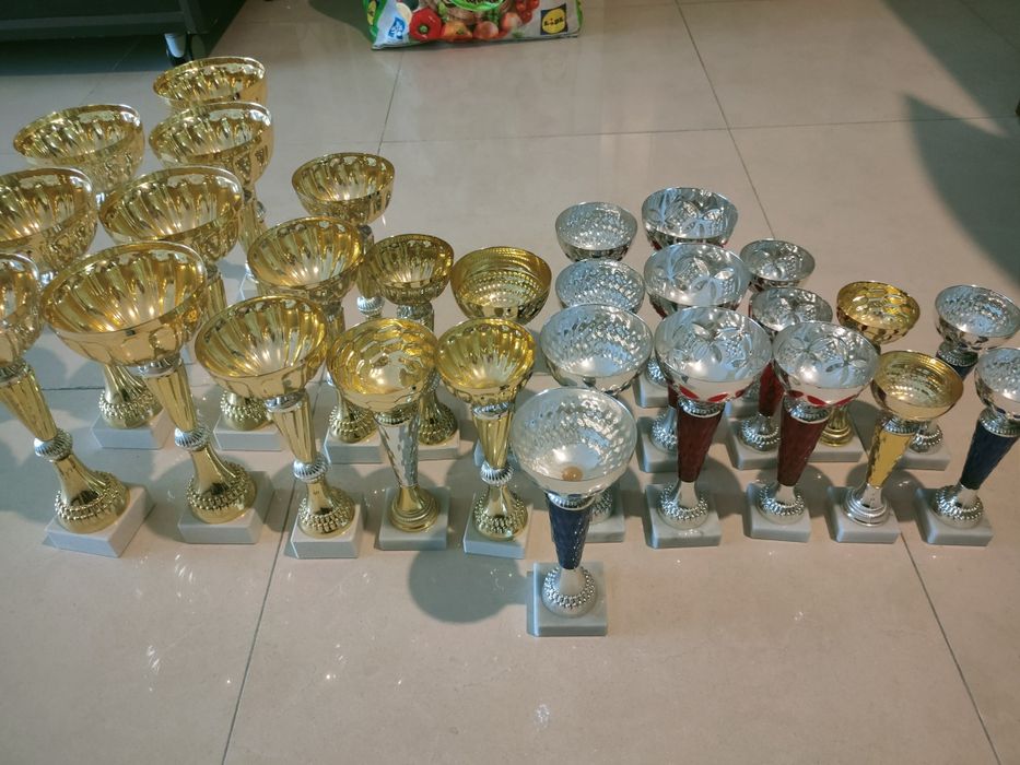 Taças / Troféus desportivos