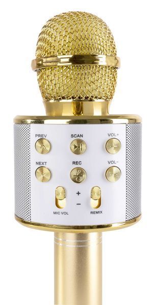 Mikrofon karaoke dla dzieci z Bluetooth USB mutacja głosu