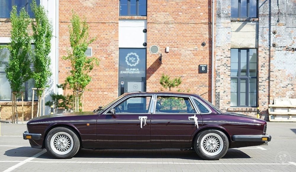 Wyjątkowy do ślubu Jaguar Daimler V12 bordowy wiśniowy burgund klasyk