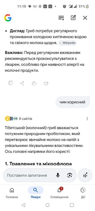 Тібетський молочний гриб.