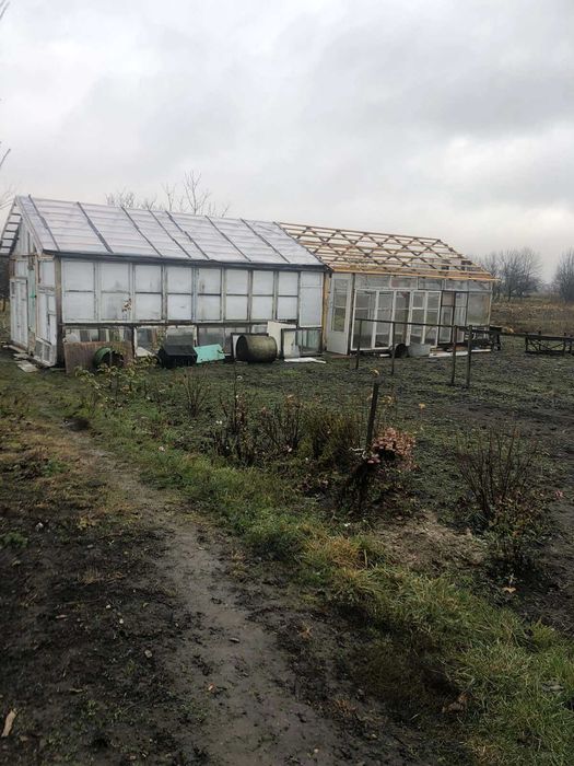 3) Продам будинок в с. Довгополівка Тиврівський район 1736