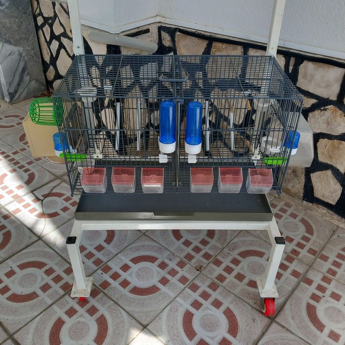 Gaiolas pedros com rodas