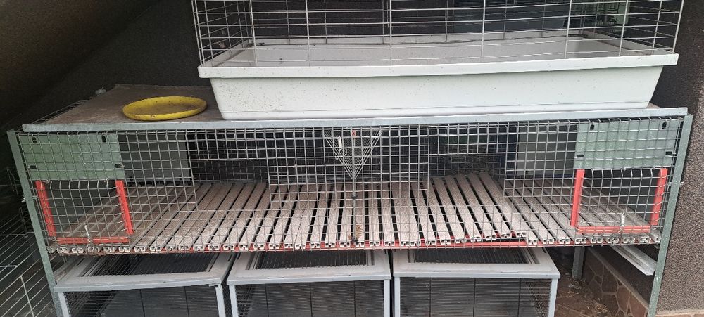Klatka dla królików