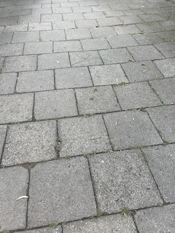 Płyty chodnikowe 50x50 jak nowe