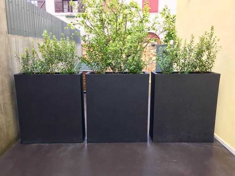 Floreiras de escritório e esplanada