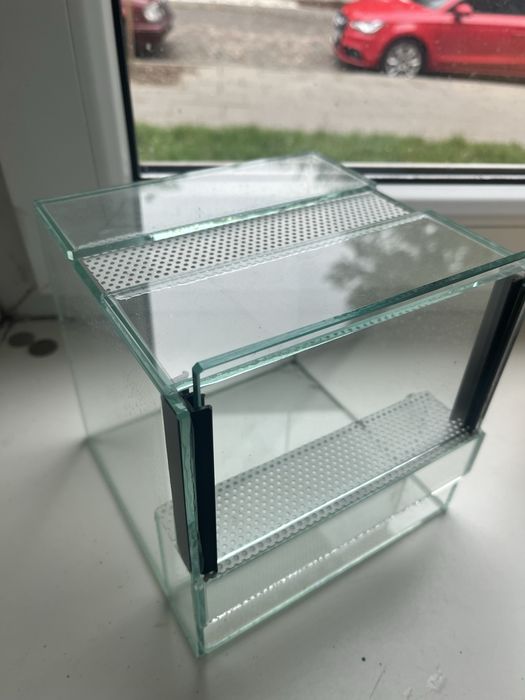 Terrarium 15x16x16