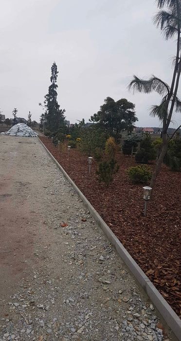 Kora sosnowa ogrodowa Kraków (małopolskie)