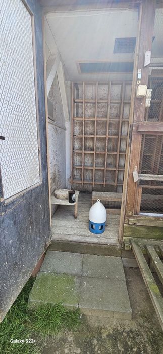 Gołębnik 1,5x2,5x2m