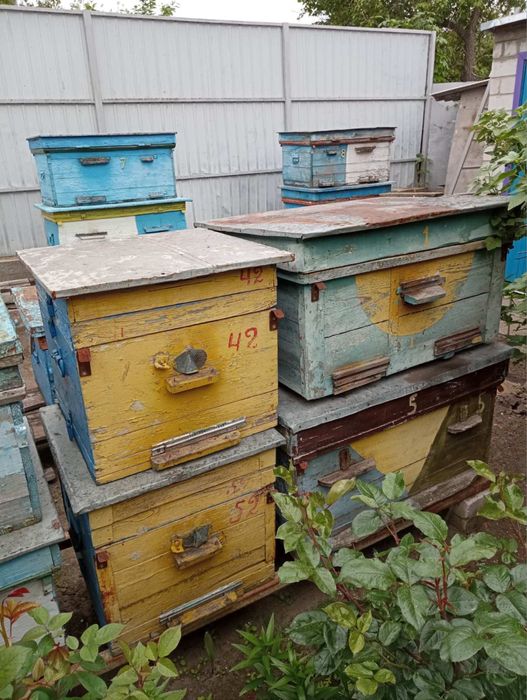 Вулики деревяні б/у